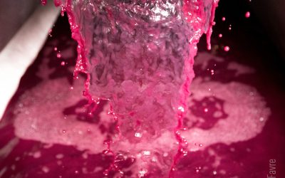 Augmentation des rendements autorisés en côtes-du-rhône