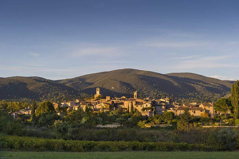 Vignes Luberon