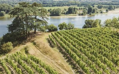 Le Domaine du Closel repris par Ivan Massonnat