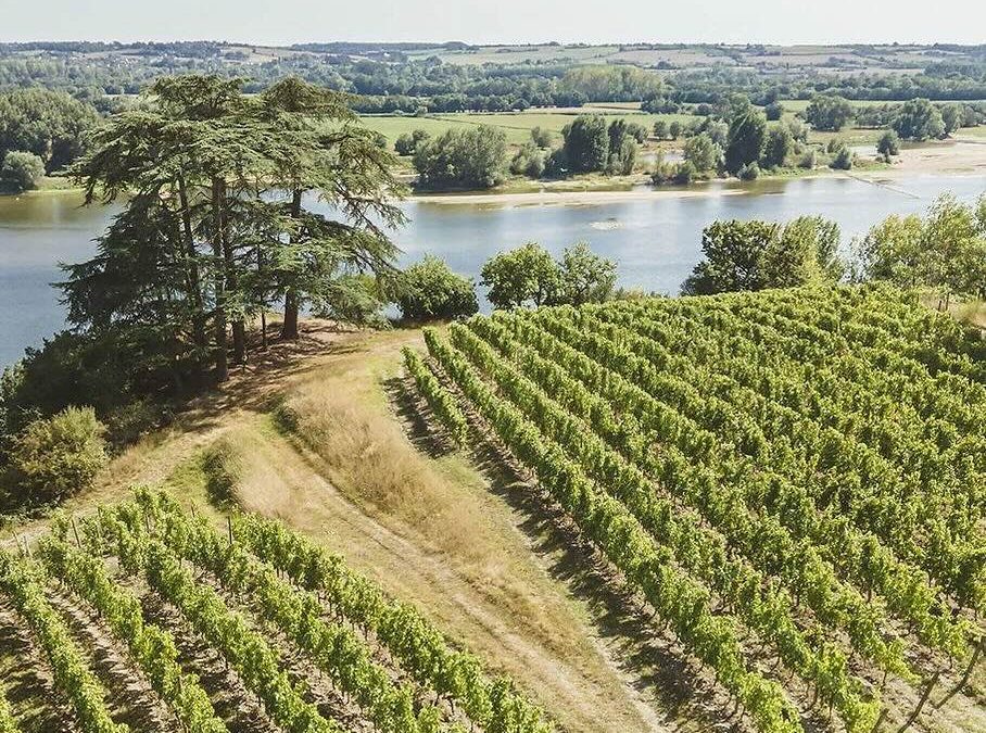 Le Domaine du Closel repris par Ivan Massonnat