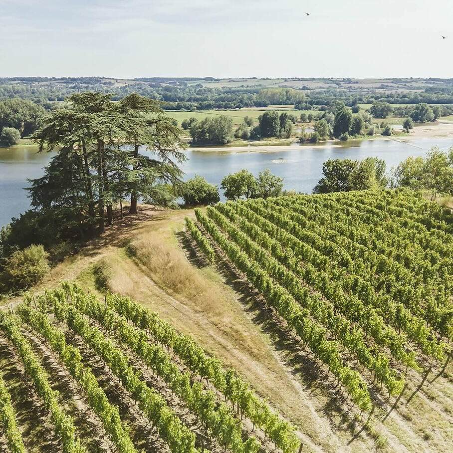 Le Domaine du Closel repris par Ivan Massonnat